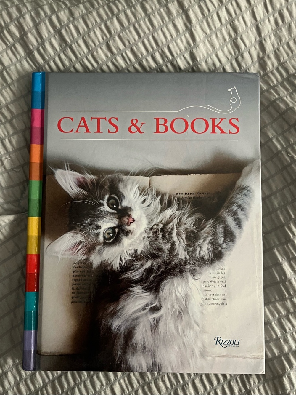 Cats & Books Hardcover Coffee Table Book by Rizzoli